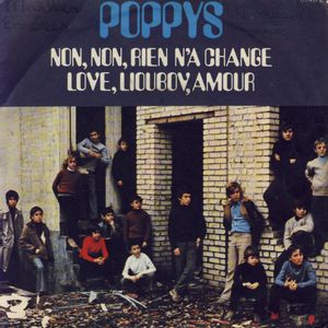 NITE-Poppys